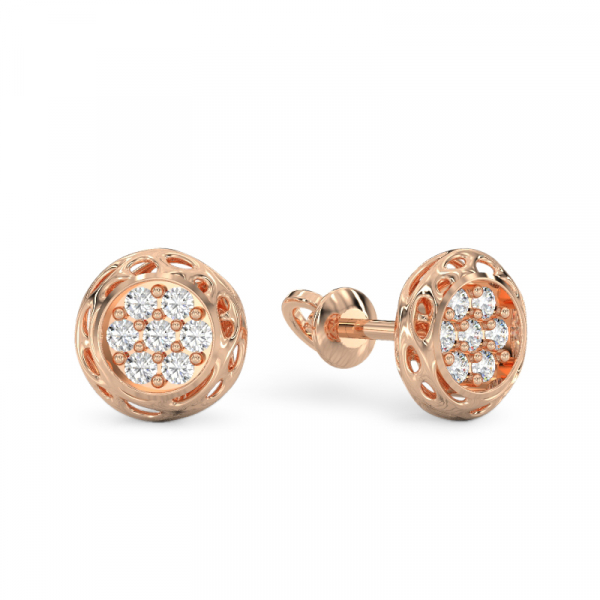 Rose Gold Earrings